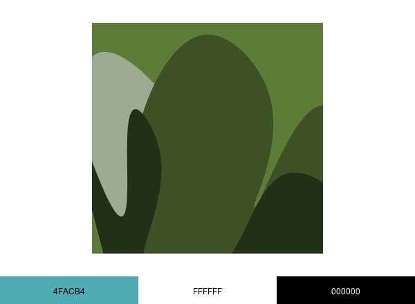 As I Am brand color palette