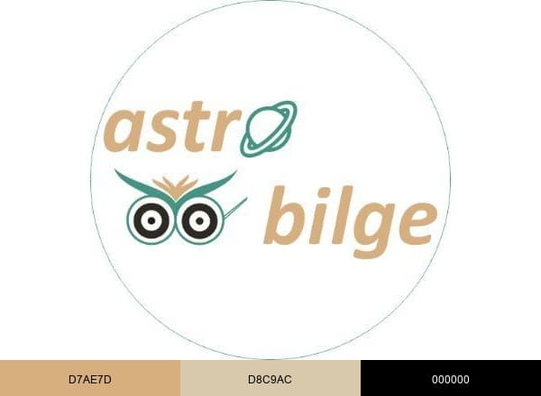 Astro Bilge brand color palette