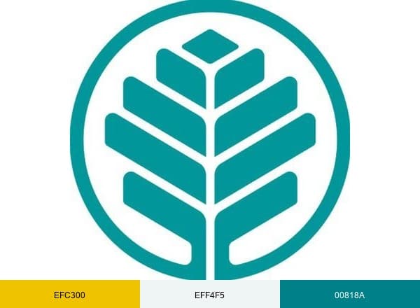 Atrium Health brand color palette