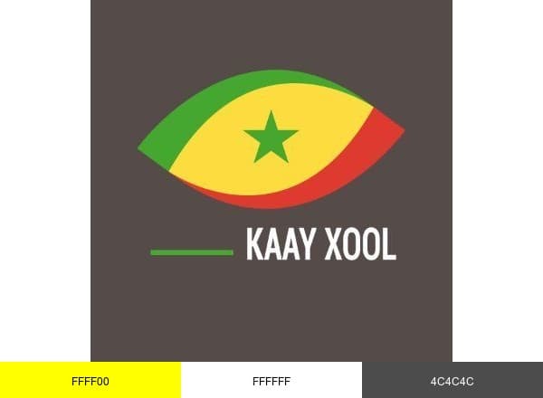 Au-Senegal.Com brand color palette