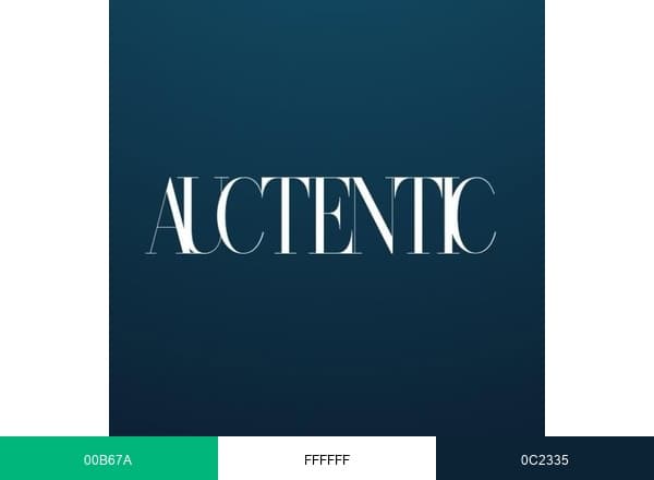 Auctentic BV brand color palette