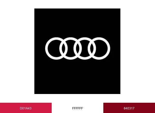 AUDI AG brand color palette