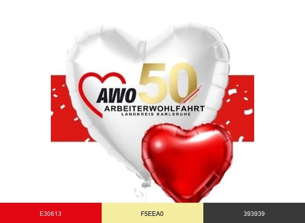 AWO Landkreis Karlsruhe brand color palette