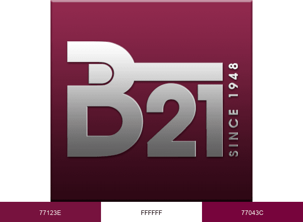 B-21 Fine Wine & Spirits brand color palette