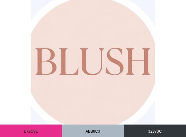 Blush Beauty Lounge brand color palette