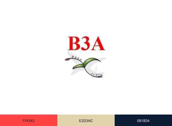 B3A brand color palette