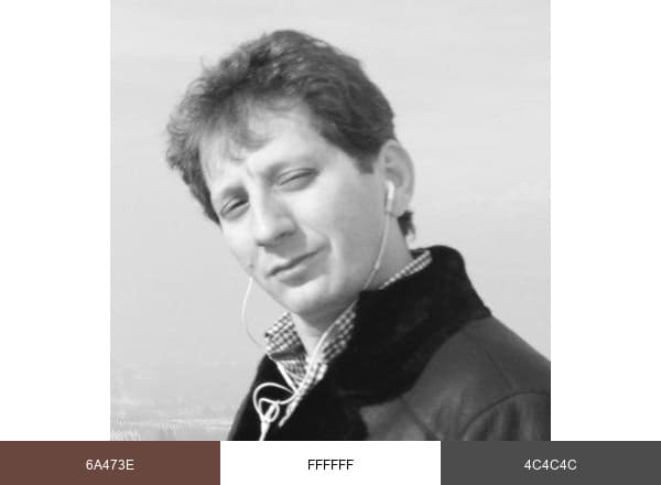 Babak Zanjani brand color palette