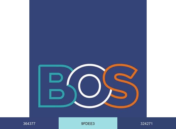 BACK OFFICE SANTE brand color palette