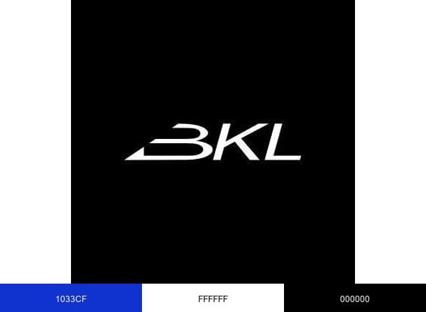 Backlight srl brand color palette