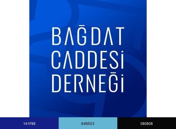 BAĞDAT CADDESİ DERNEĞİ brand color palette