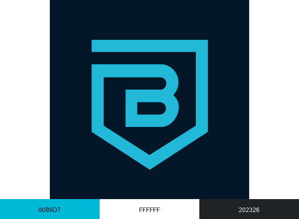Banyan Security brand color palette