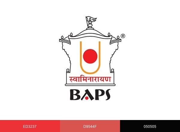 BAPS brand color palette