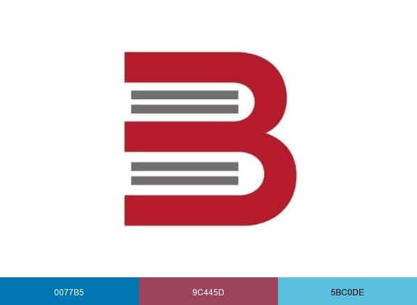 Basconfer libros brand color palette