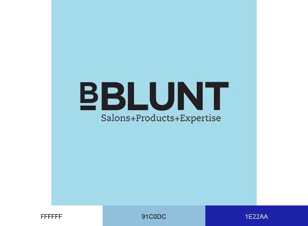 BBLUNT brand color palette