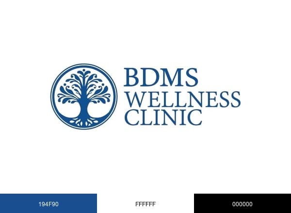 BDMS Wellness brand color palette