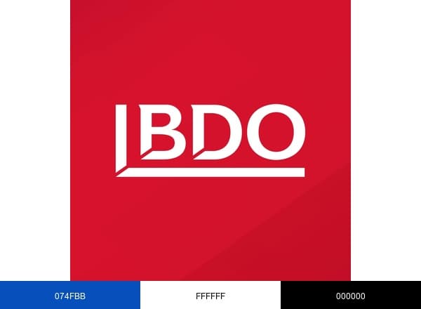 BDO Deutschland Karriere brand color palette