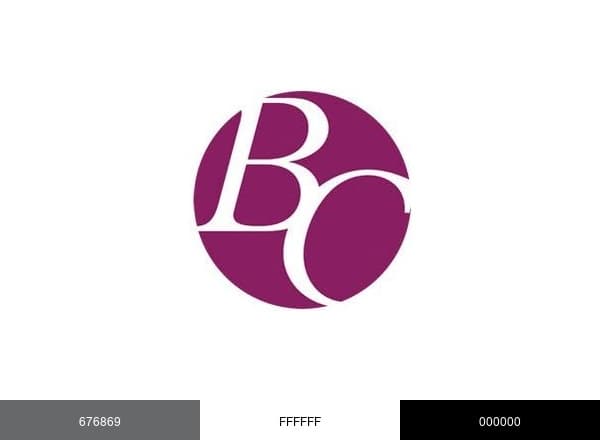 Beads of Cambay brand color palette