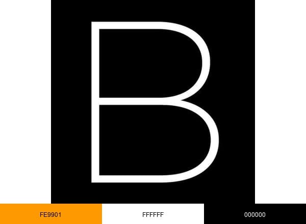 Beautylish brand color palette