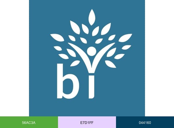 Behavioral Innovations brand color palette