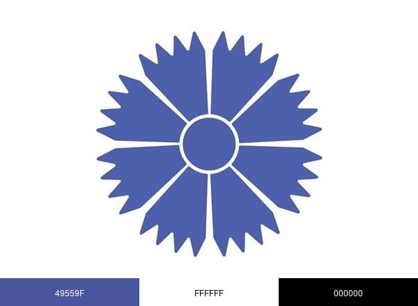Belavia Airlines brand color palette