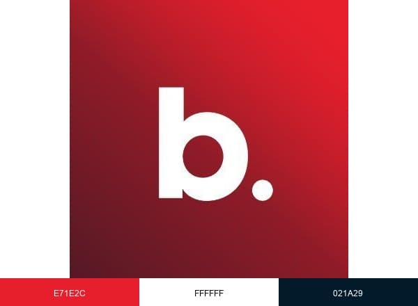Believe brand color palette