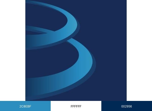 Bellco Credit Union brand color palette