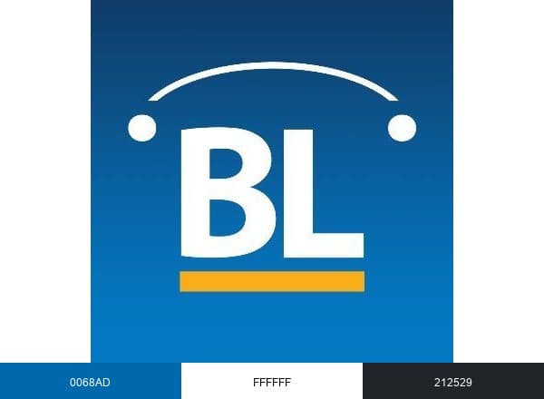 BenefitsLink brand color palette