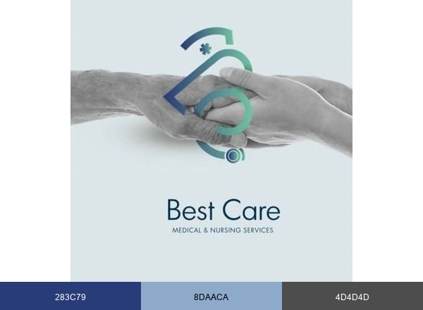 Best Care Medical Services brand color palette
