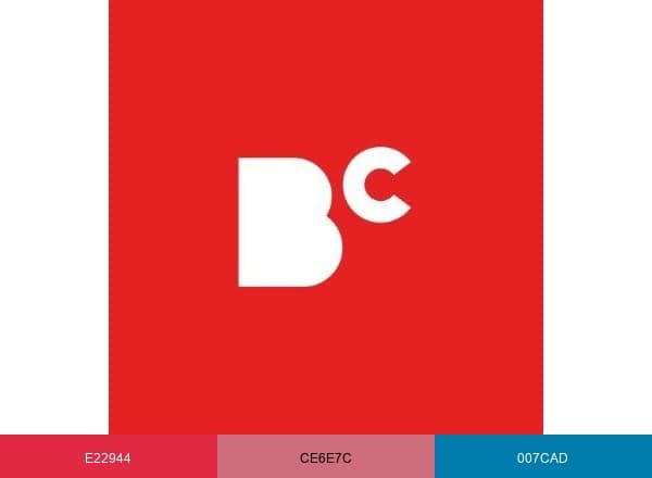 BestColleges brand color palette