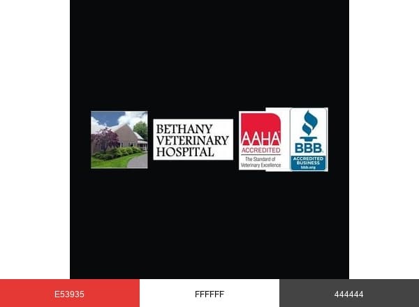 Bethany Vet Hospital brand color palette