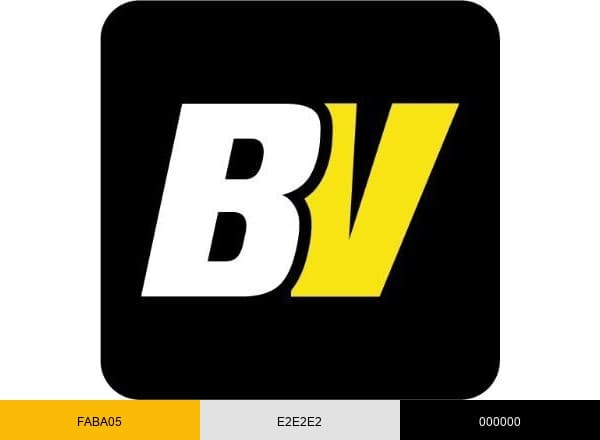 Betvisa brand color palette