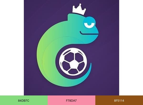 Betzest brand color palette