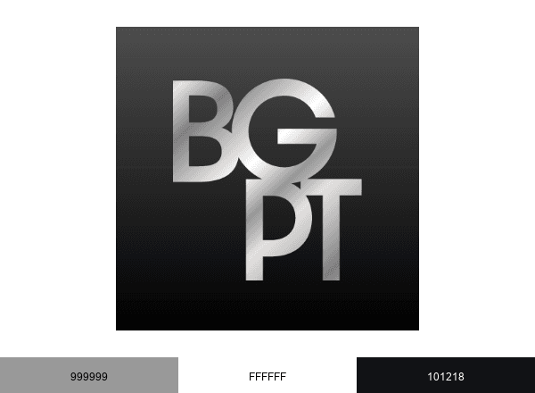 BGPT Barry Goldman Physical Therapy brand color palette