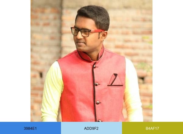 Debabrata Mandal brand color palette