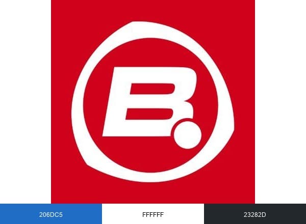 Bigpoint brand color palette