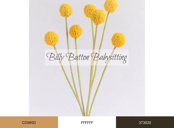 BILLY BUTTON BABYSITTING brand color palette