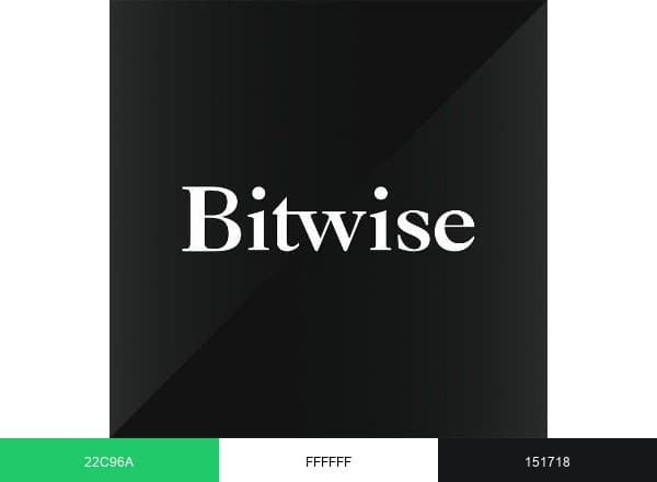 Bitwise Investments brand color palette