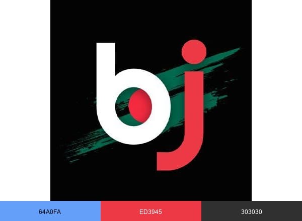 Bj Baji brand color palette