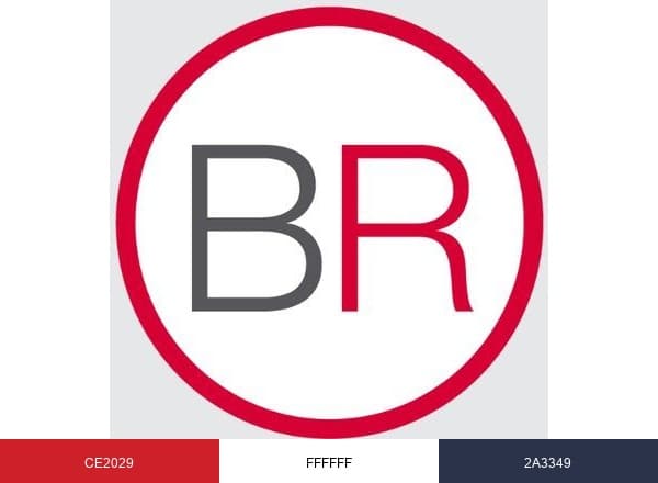 Blank Rome LLP brand color palette