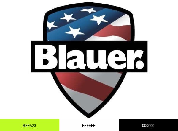 Blauer brand color palette