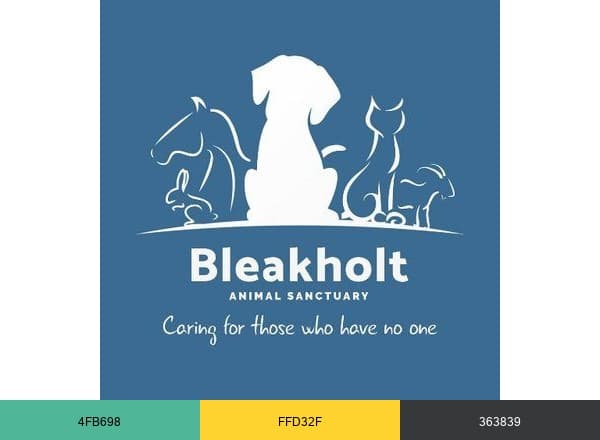 Bleakholt Official brand color palette