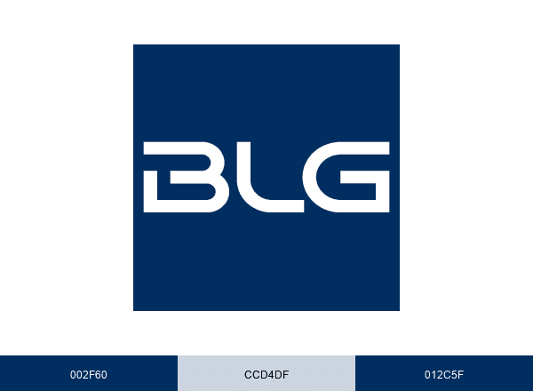 BLG brand color palette