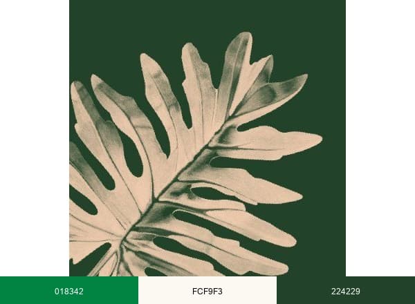 Bloomscape brand color palette