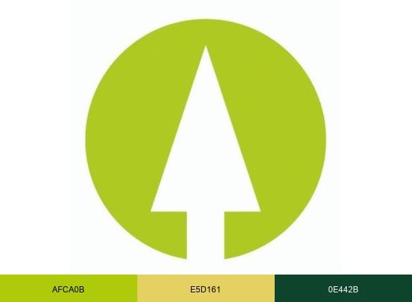Bois.com brand color palette