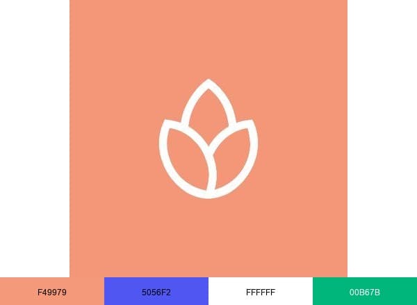 Bonfire brand color palette