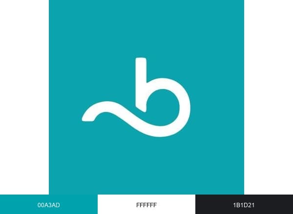 Booksy brand color palette
