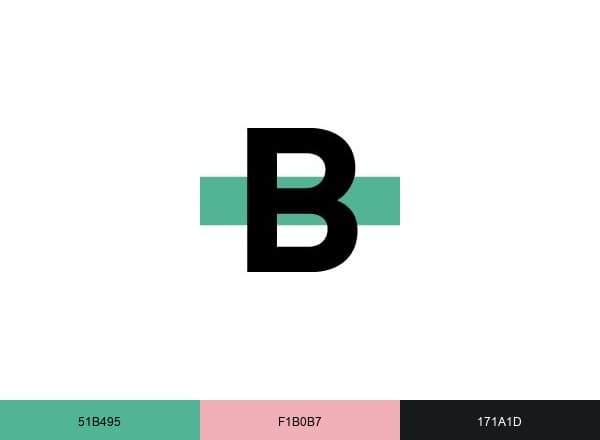 Brace brand color palette