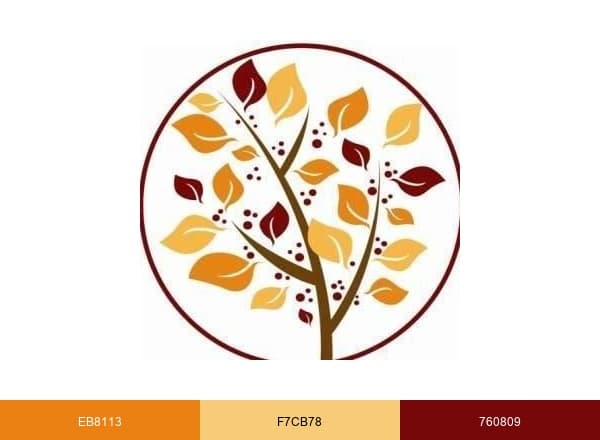 Brandywine Elder Care Management brand color palette