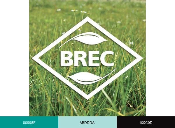 BREC brand color palette