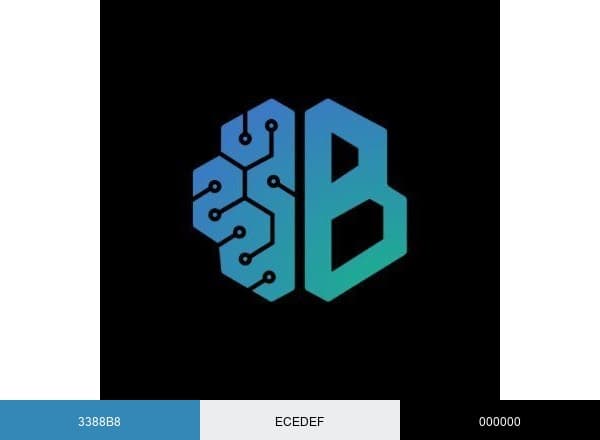 Brian brand color palette
